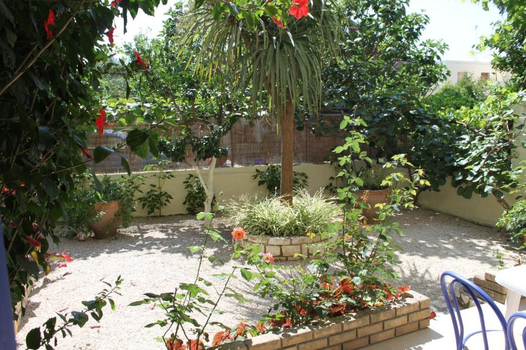 Angelina Apartments Roda (Corfu) Quarto foto